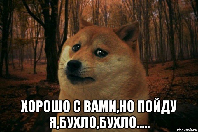  хорошо с вами,но пойду я,бухло,бухло....., Мем SAD DOGE