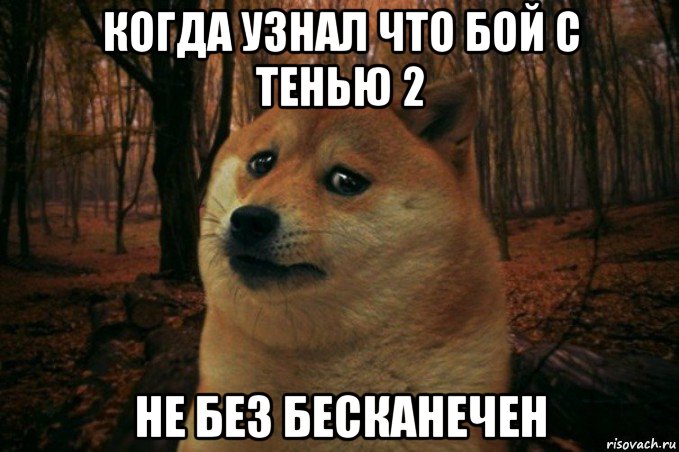 когда узнал что бой с тенью 2 не без бесканечен, Мем SAD DOGE