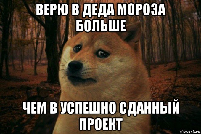 верю в деда мороза больше чем в успешно сданный проект, Мем SAD DOGE