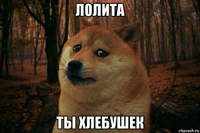 лолита ты хлебушек, Мем SAD DOGE