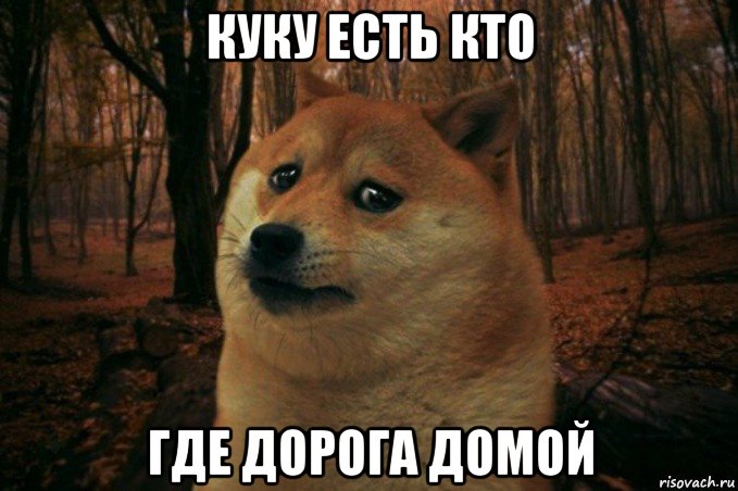 куку есть кто где дорога домой, Мем SAD DOGE