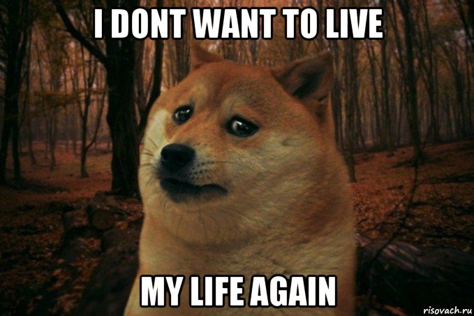 i dont want to live my life again, Мем SAD DOGE