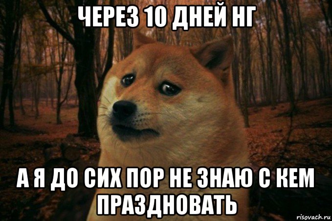 через 10 дней нг а я до сих пор не знаю с кем праздновать, Мем SAD DOGE