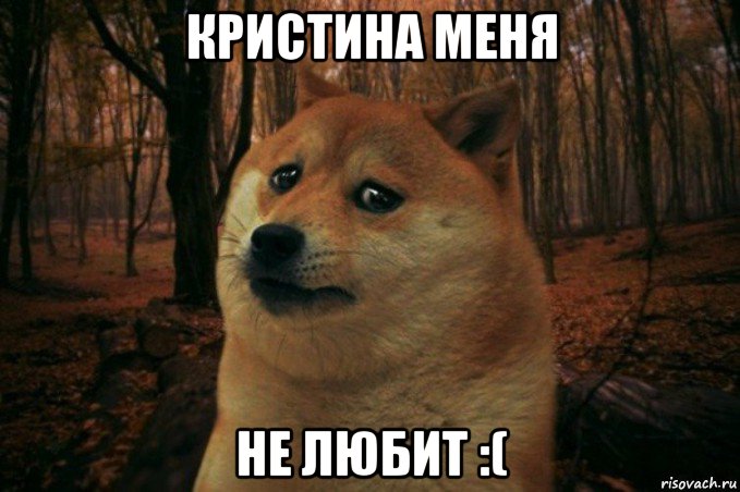 кристина меня не любит :(, Мем SAD DOGE