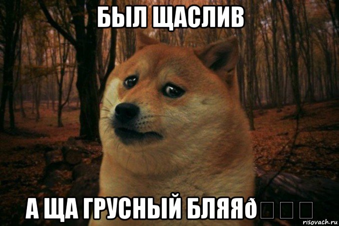 Мем SAD DOGE