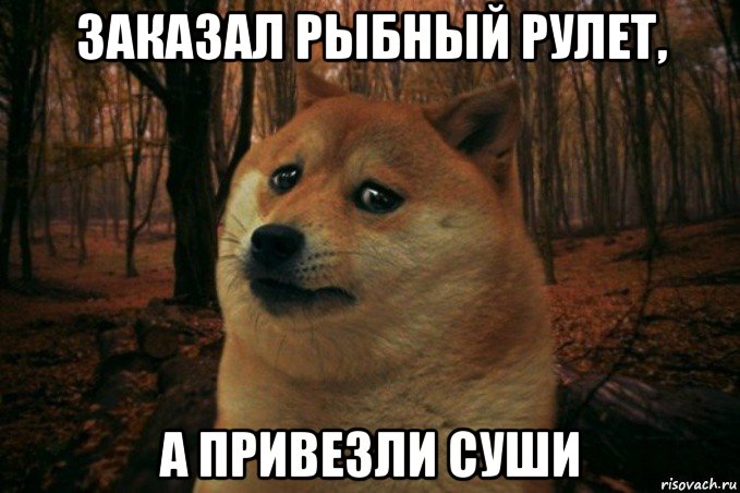 заказал рыбный рулет, а привезли суши, Мем SAD DOGE