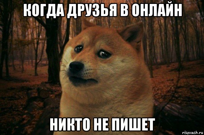 когда друзья в онлайн никто не пишет, Мем SAD DOGE