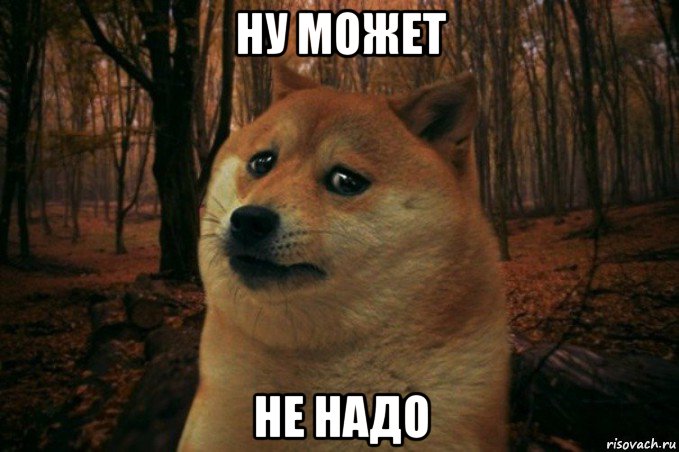 ну может не надо, Мем SAD DOGE