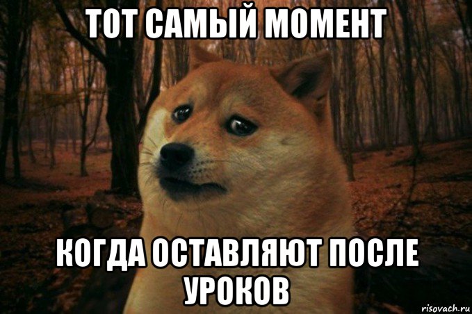 тот самый момент когда оставляют после уроков, Мем SAD DOGE