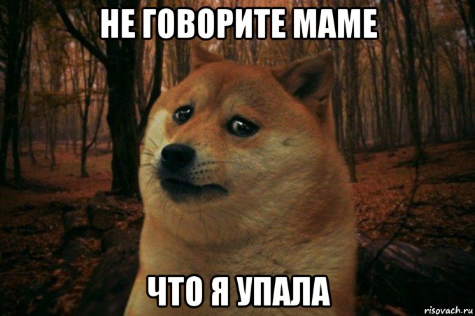 не говорите маме что я упала, Мем SAD DOGE