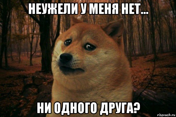 неужели у меня нет... ни одного друга?, Мем SAD DOGE