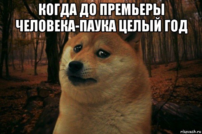 когда до премьеры человека-паука целый год , Мем SAD DOGE