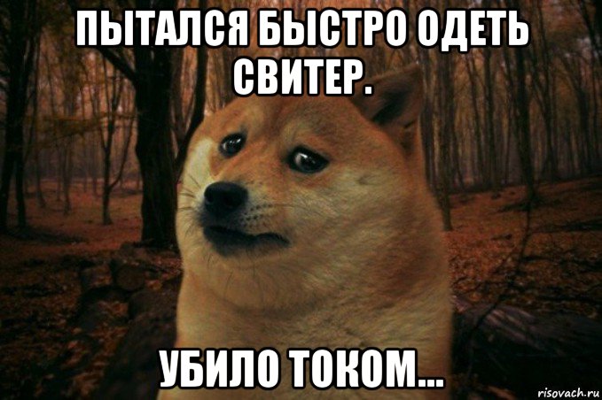 пытался быстро одеть свитер. убило током..., Мем SAD DOGE