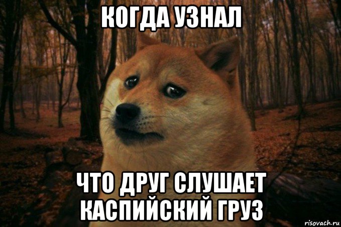 когда узнал что друг слушает каспийский груз, Мем SAD DOGE