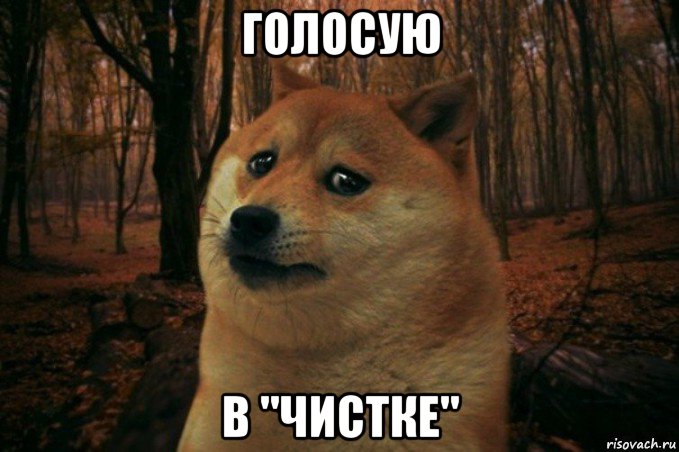 голосую в "чистке", Мем SAD DOGE