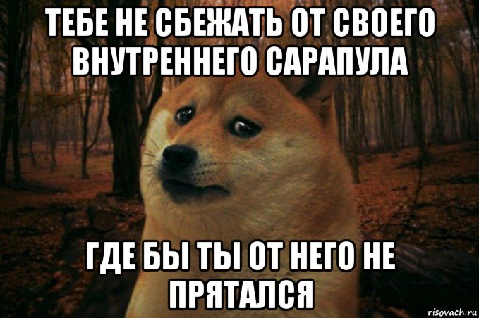 тебе не сбежать от своего внутреннего сарапула где бы ты от него не прятался, Мем SAD DOGE