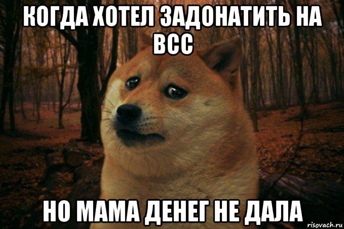 когда хотел задонатить на всс но мама денег не дала, Мем SAD DOGE