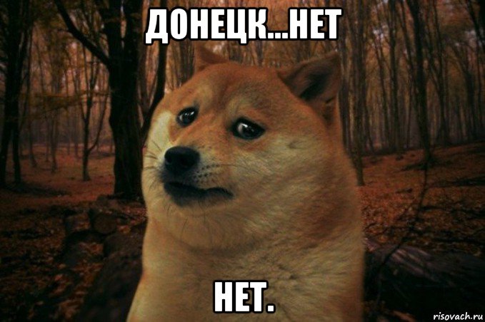 донецк...нет нет., Мем SAD DOGE