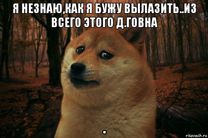 я незнаю,как я бужу вылазить..из всего этого д.говна ., Мем SAD DOGE