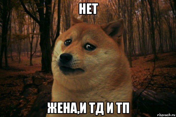 нет жена,и тд и тп, Мем SAD DOGE