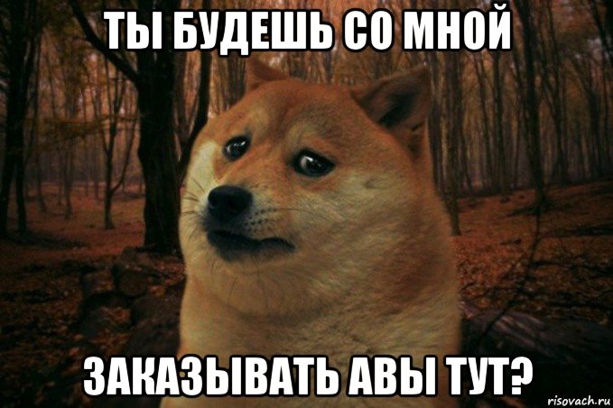 ты будешь со мной заказывать авы тут?, Мем SAD DOGE