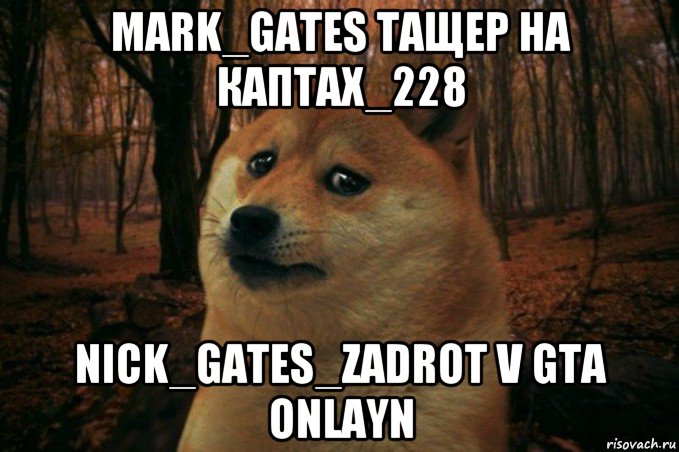 mark_gates тащер на каптах_228 nick_gates_zadrot v gta onlayn, Мем SAD DOGE