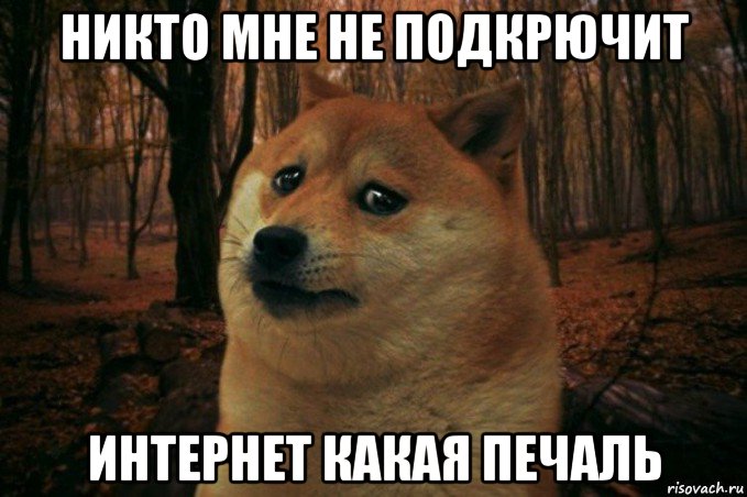 никто мне не подкрючит интернет какая печаль, Мем SAD DOGE