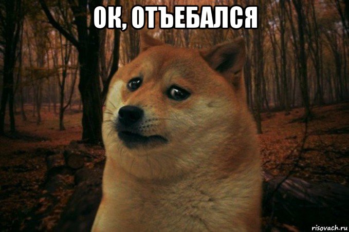 ок, отъебался , Мем SAD DOGE