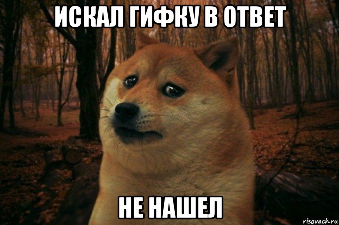 искал гифку в ответ не нашел, Мем SAD DOGE