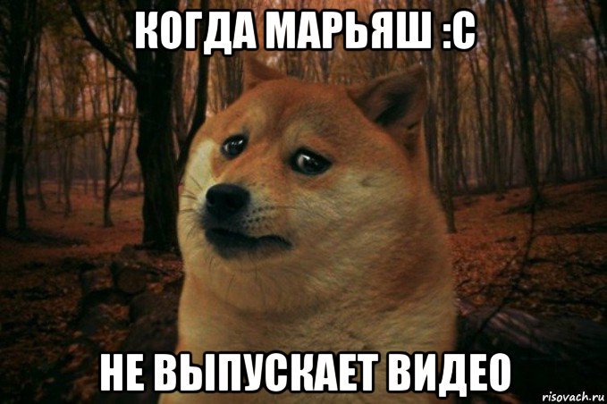 когда марьяш :с не выпускает видео, Мем SAD DOGE