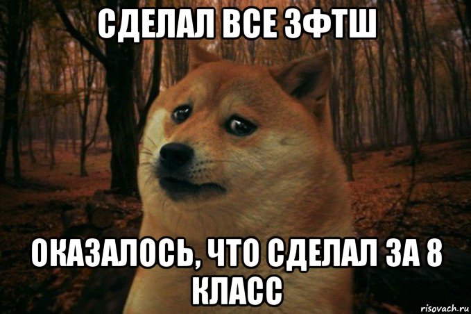 сделал все зфтш оказалось, что сделал за 8 класс, Мем SAD DOGE