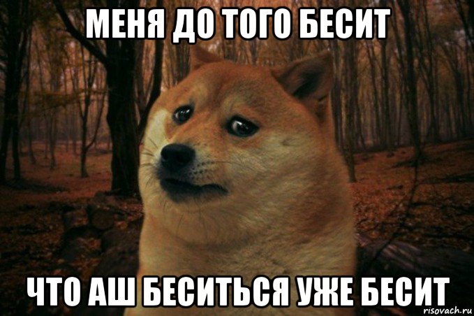 меня до того бесит что аш беситься уже бесит, Мем SAD DOGE