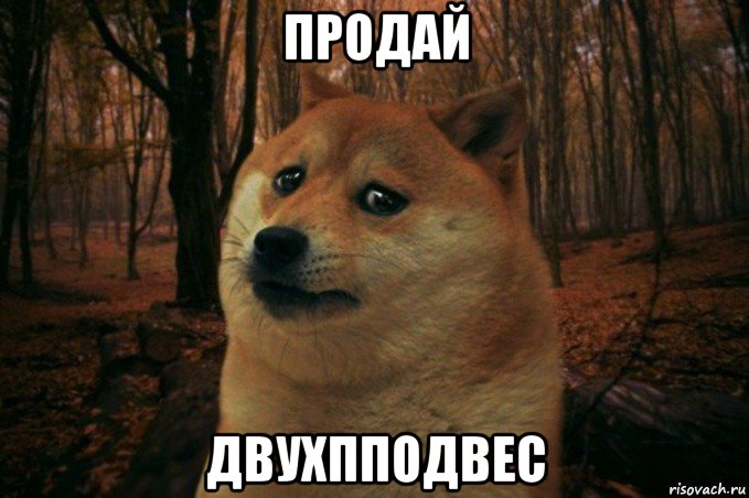 продай двухпподвес, Мем SAD DOGE