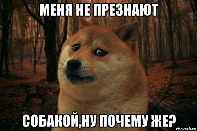 меня не презнают собакой,ну почему же?, Мем SAD DOGE