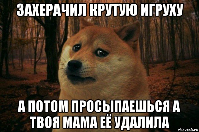 захерачил крутую игруху а потом просыпаешься а твоя мама её удалила, Мем SAD DOGE