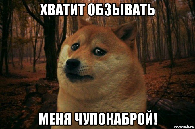 хватит обзывать меня чупокаброй!, Мем SAD DOGE