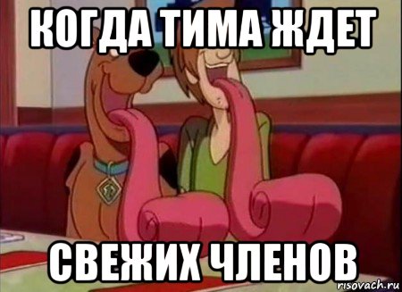 когда тима ждет свежих членов