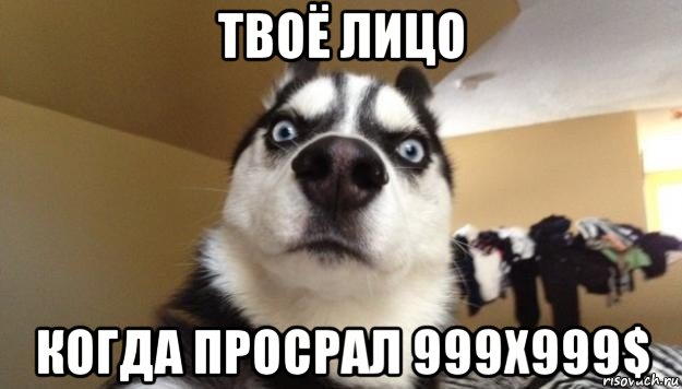 твоё лицо когда просрал 999x999$