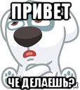 привет че делаешь?