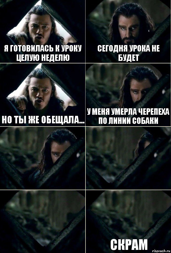 Я готовилась к уроку целую неделю Сегодня урока не будет Но ты же обещала... У меня умерла черепеха по линии собаки    Скрам, Комикс  Стой но ты же обещал