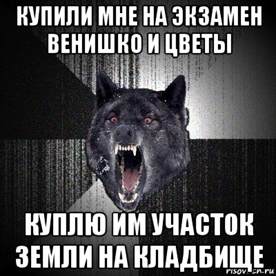 купили мне на экзамен венишко и цветы куплю им участок земли на кладбище, Мем Сумасшедший волк