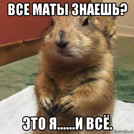 все маты знаешь? это я......и всё., Мем Суслик спрашивает