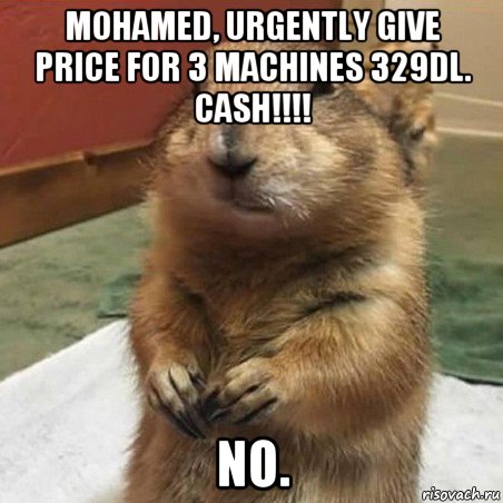 mohamed, urgently give price for 3 machines 329dl. cash!!!! no., Мем Суслик спрашивает