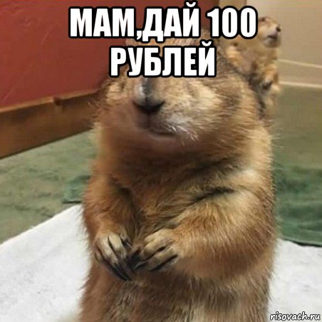 мам,дай 100 рублей , Мем Суслик спрашивает