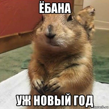 ёбана уж новый год