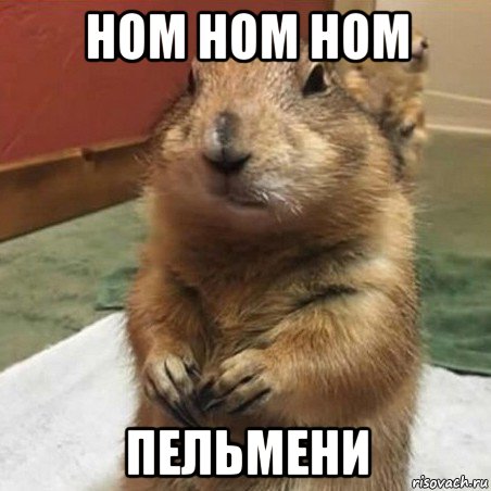 ном ном ном пельмени