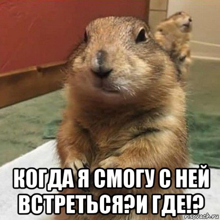  когда я смогу с ней встреться?и где!?