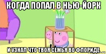 когда попал в нью-йорк и узнал что твоя семья во флориде, Мем  Свинка пеппа под столом