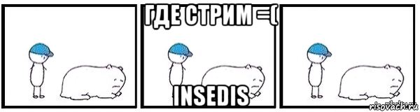 где стрим =( insedis, Мем Свинья