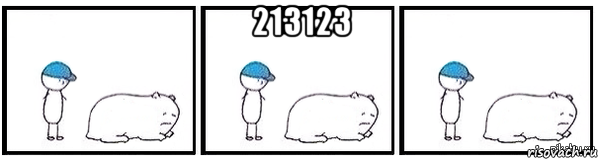 213123 